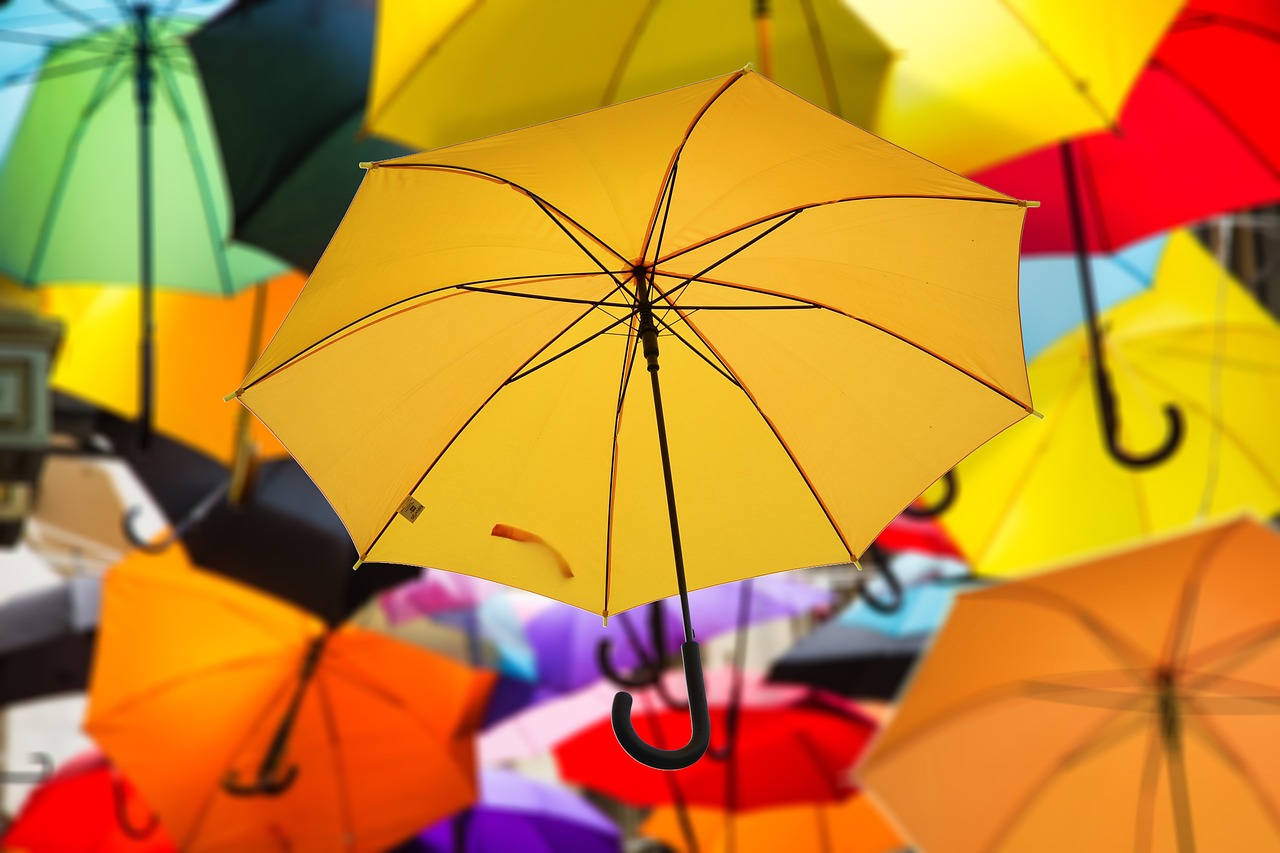 Moral Judgments in Science - Who Decides What’s Right?